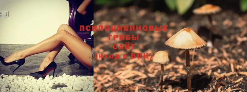 как найти закладки  Нефтекамск  hydra рабочий сайт  Галлюциногенные грибы Magic Shrooms 